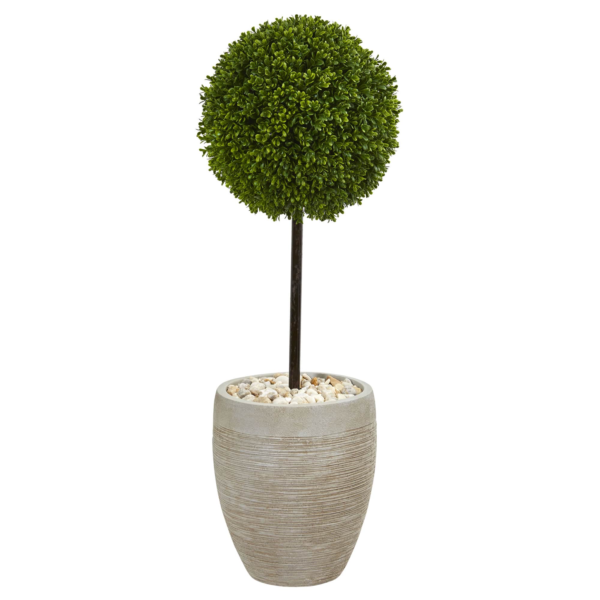 3ft. Boxwood Ball Topiary Tree in Oval Planter